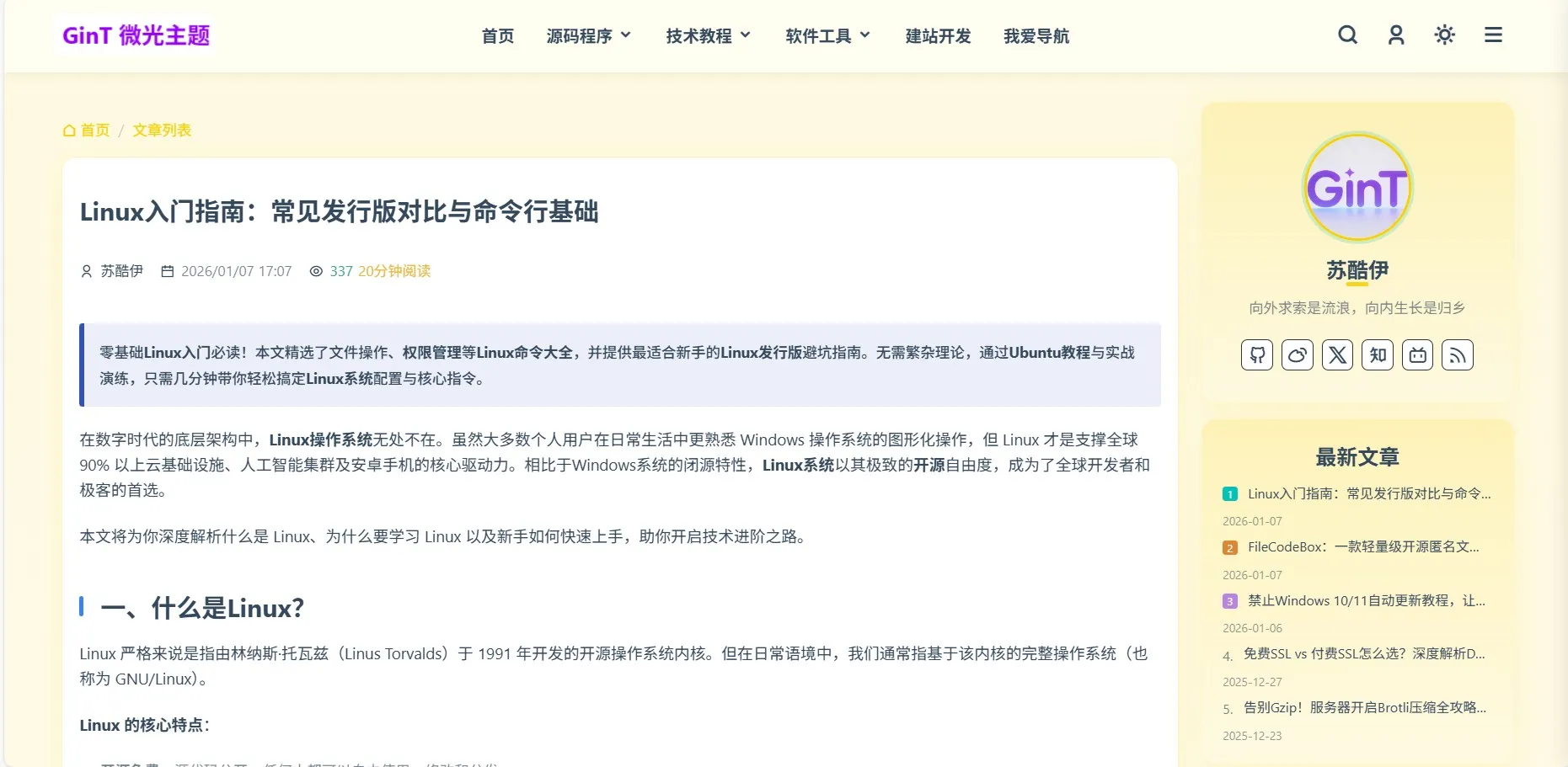 GinT 微光主题演示图 GinT 微光主题演示图