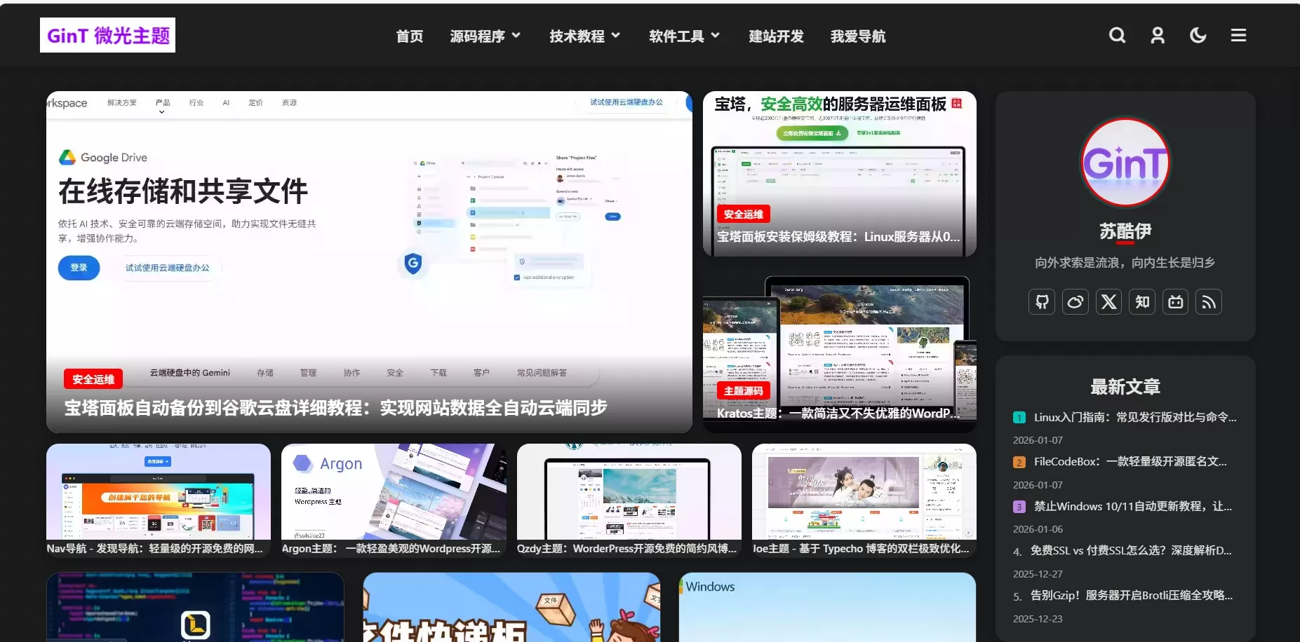 GinT 微光主题演示图